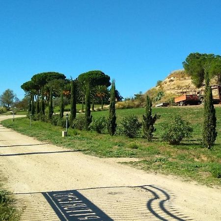 Agriturismo Il Poderino Vila Tarquinia Exterior foto