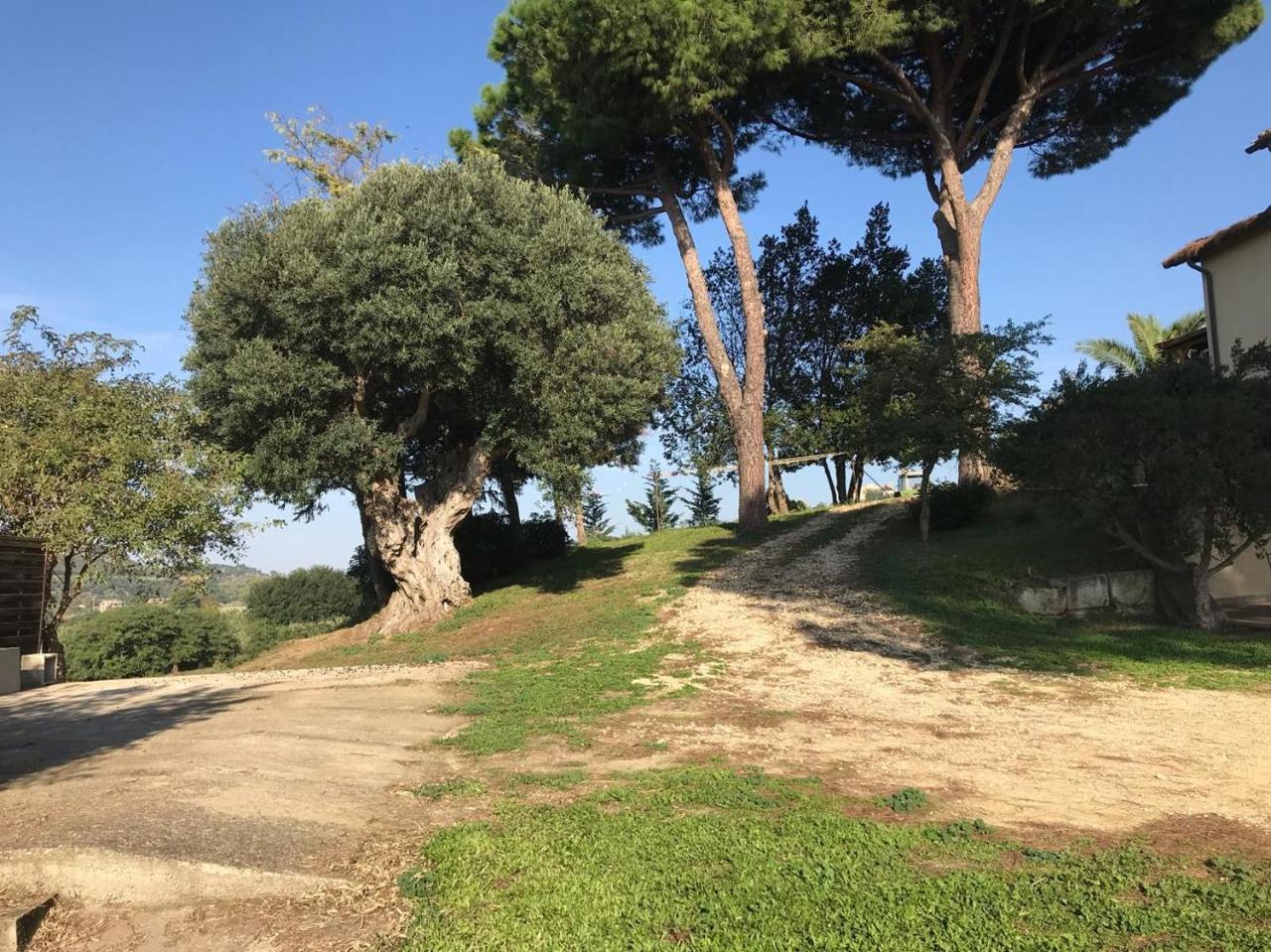 Agriturismo Il Poderino Vila Tarquinia Exterior foto