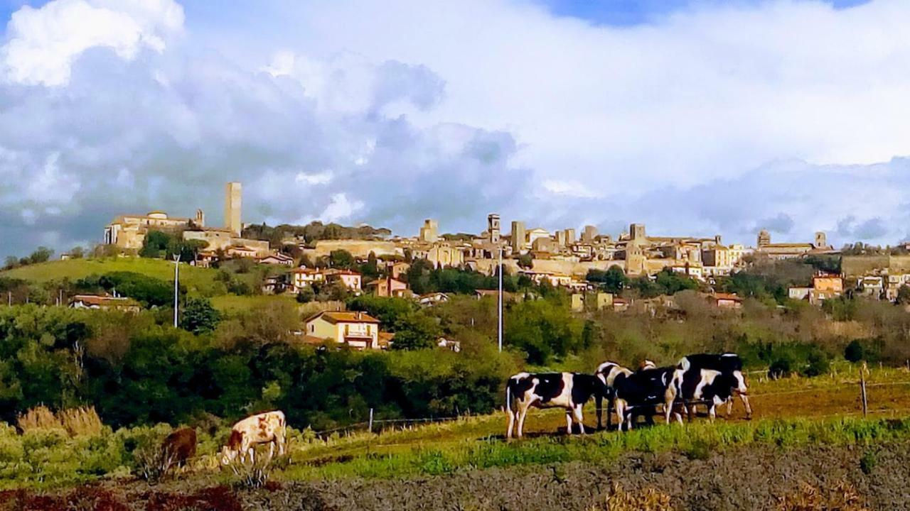 Agriturismo Il Poderino Vila Tarquinia Exterior foto